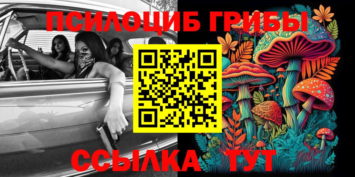 Псилоцибиновые грибы GOLDEN TEACHER  Вход с VPN  Тольятти 