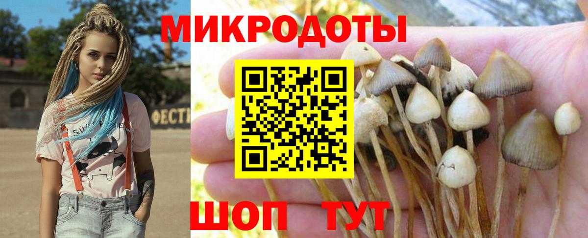 Галлюциногенные грибы прущие грибы Тольятти